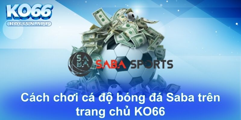 Cách chơi cá độ bóng đá Saba trên trang chủ KO66