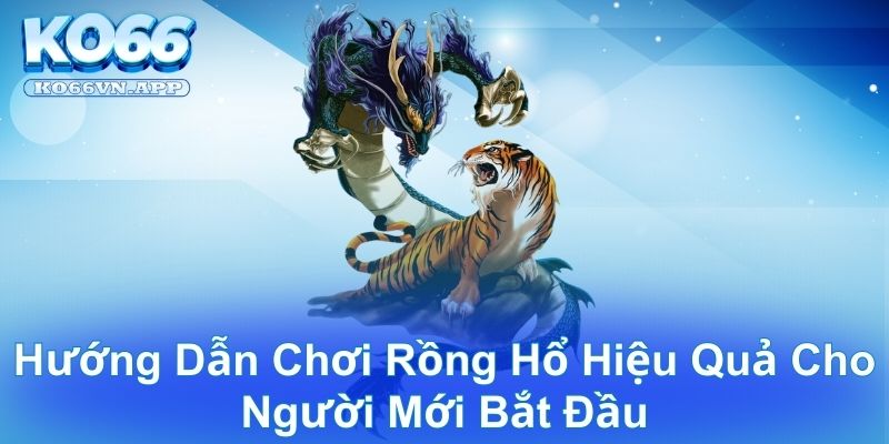 Rồng Hổ