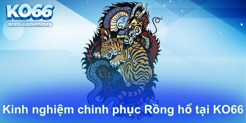 Kinh nghiệm chinh phục Rồng hổ tại KO66