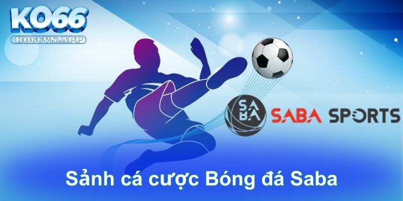 Sảnh cá cược Bóng đá Saba