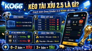 Kèo Tài Xỉu 2.5 Là Gì